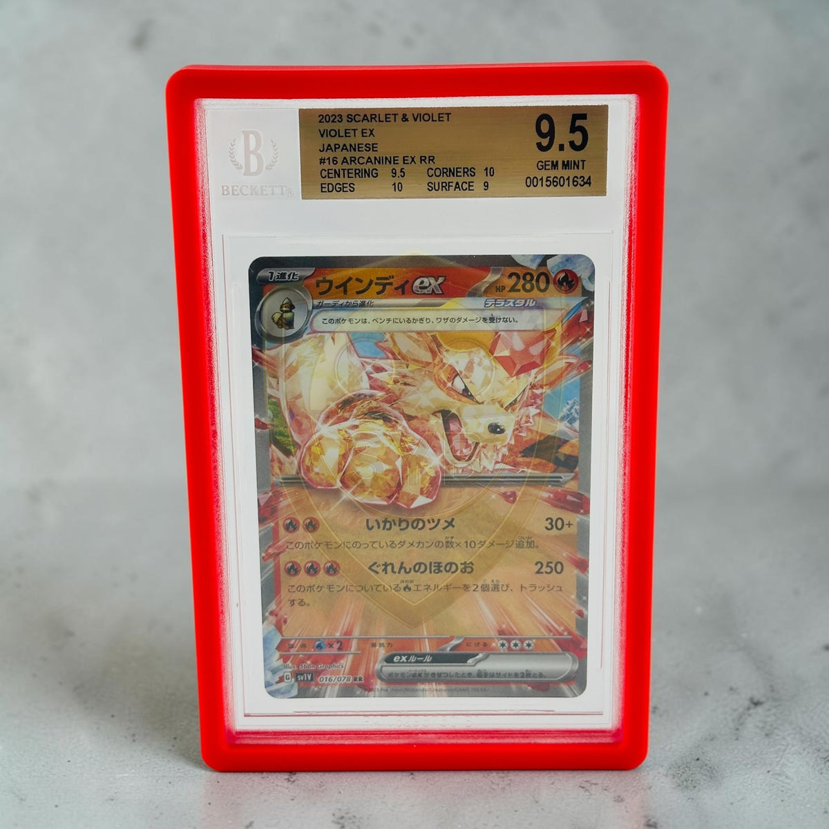 Bumper BGS Beckett Slab per Carte Gradate OnePiece Pokemon Magic Graded Guard