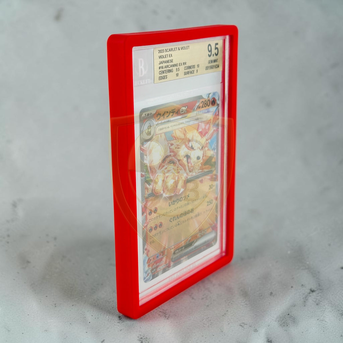 Bumper BGS Beckett Slab per Carte Gradate OnePiece Pokemon Magic Graded Guard