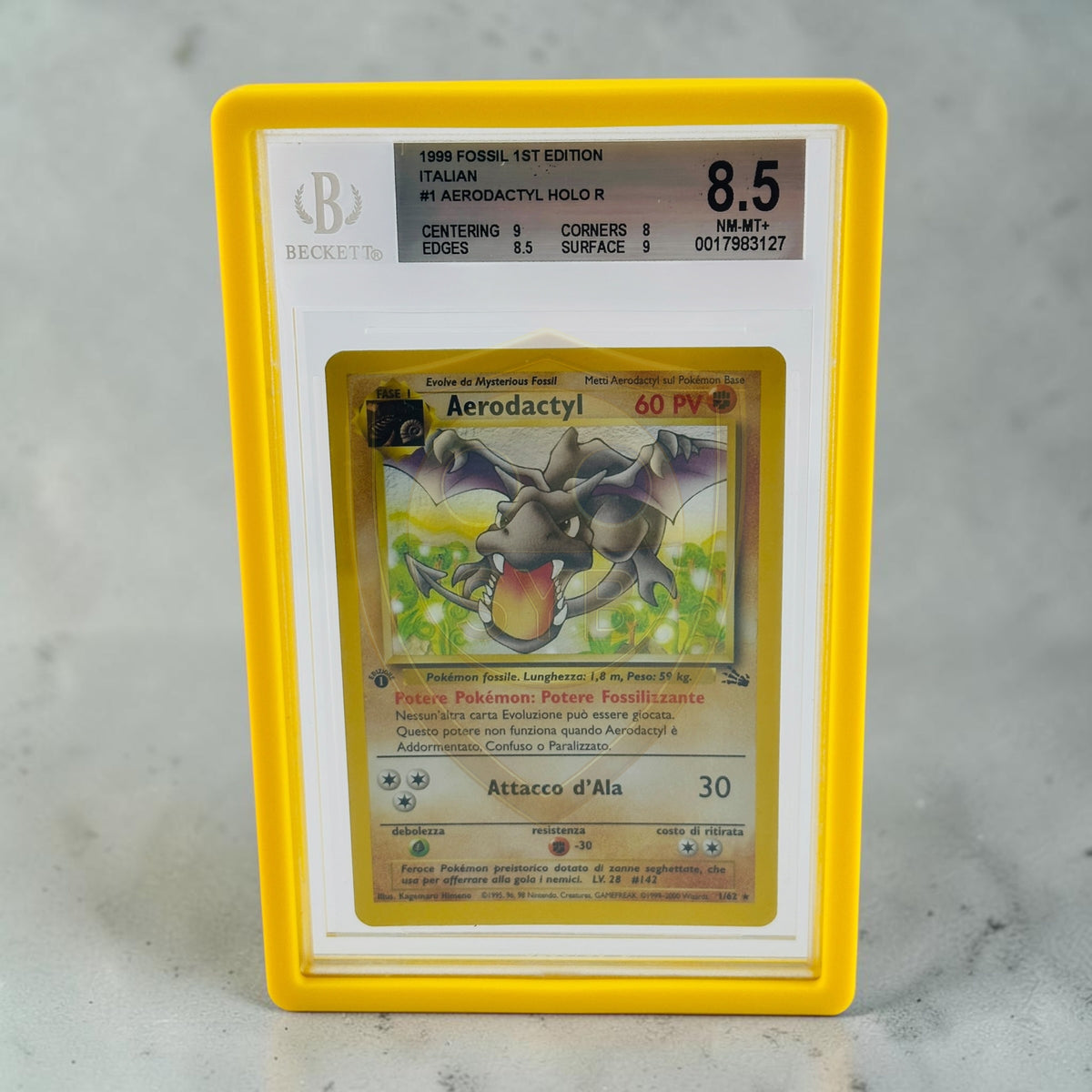 Bumper BGS Beckett Slab per Carte Gradate OnePiece Pokemon Magic Graded Guard